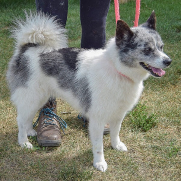Parrainer Yuki